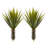 Spiky Agave Plant Silk Arrangement