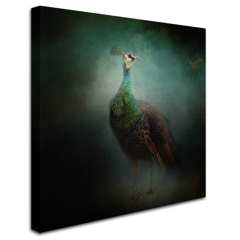 Vidur «Peacock 2», impression sur toile tendue, H 18 po x l 18 po