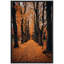 Automne automne «Orange Autumn Garden Path Nature Forest Trees» sur-99142069-99142072