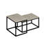 Glorias Coffee Table-106668524