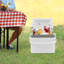 8.5L Portable Small Insulated Cooler-114238010