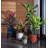 Ebern Modern Resin Pot Planter with Wooden Stand-1843114442-1839056885