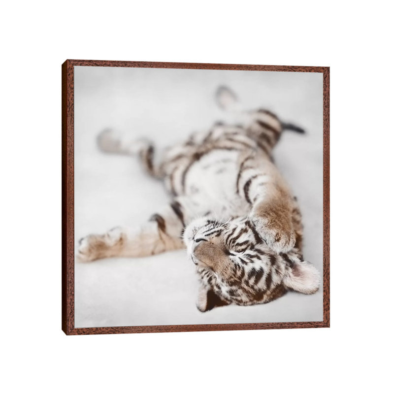 Indira II by Ashley Bradley - Print on Canvas, 93.98 cm H x 93.98 cm W, Classic Brown Wood Framed