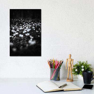 Windflowers 1 Piece Wrapped Canvas Wall Art