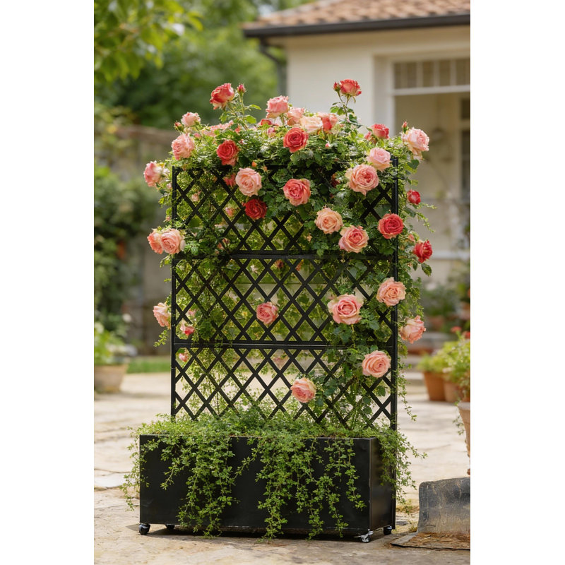 Lit de jardin surélevé en acier galvanisé avec treillis et écran d'intimité, H 70,87 po x l 46,06 po x P 15,75 po