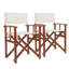 Hartle Folding Director Chair-27928691