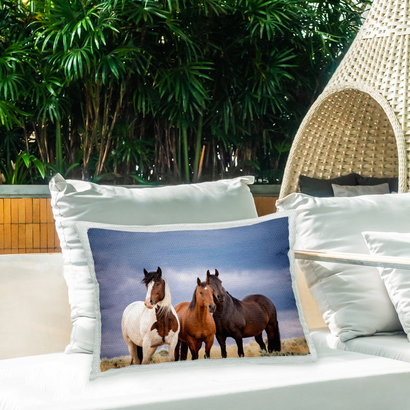 Outdoor Throw Pillow