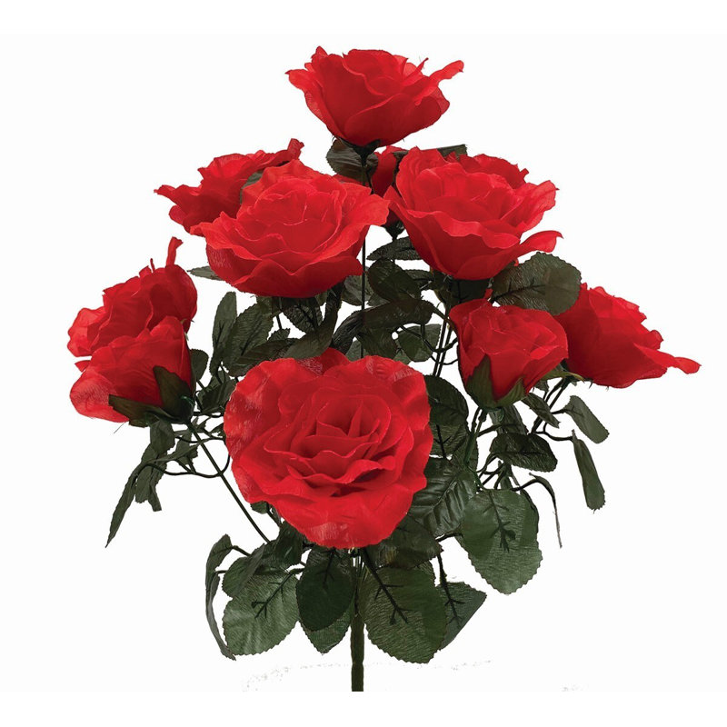 Rosiers, Rouge