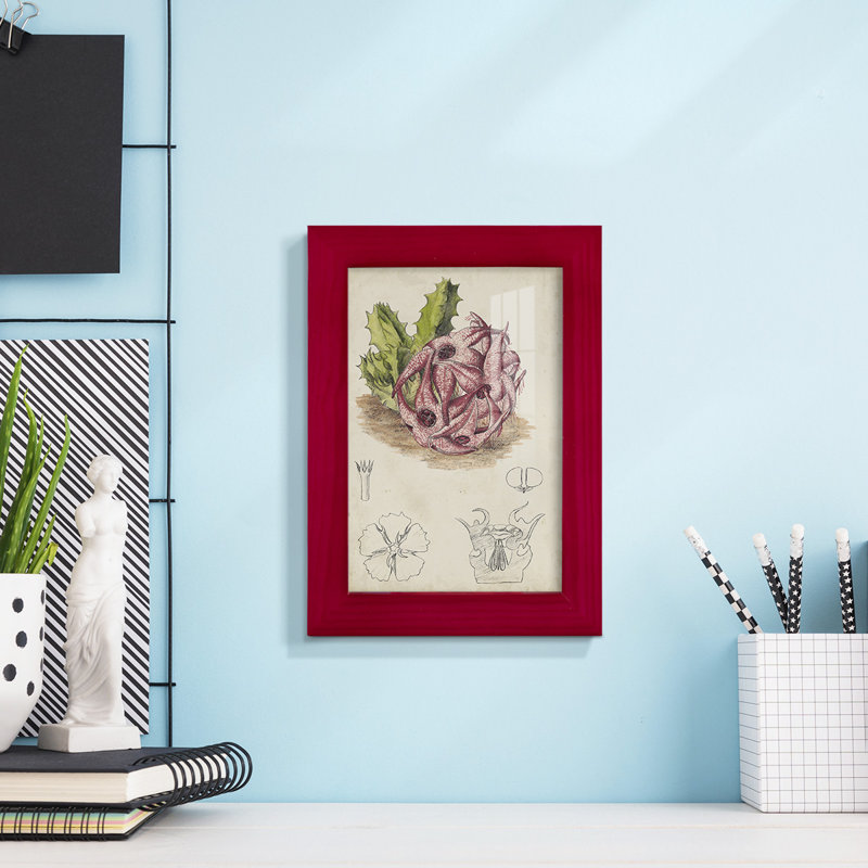 Cactus antique III, impression sur papier, Rouge, H 6 po x l 4 po x P 1 po