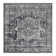 Oriental Indoor Rug