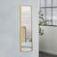 Miroir Quinnisha-1527512360-1527512363-1478169086