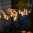Butterfly solar courtyard ground mounted lights