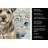 Grizzle and Tan Norfolk Terrier Coastal Sea Glass Kitchen Towel-871464101