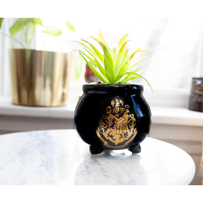 8.5'' Faux Succulent Plant in Ceramic Planter
