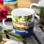 Caskata X Felix Doolittle By The Sea Mugs Set Of 4