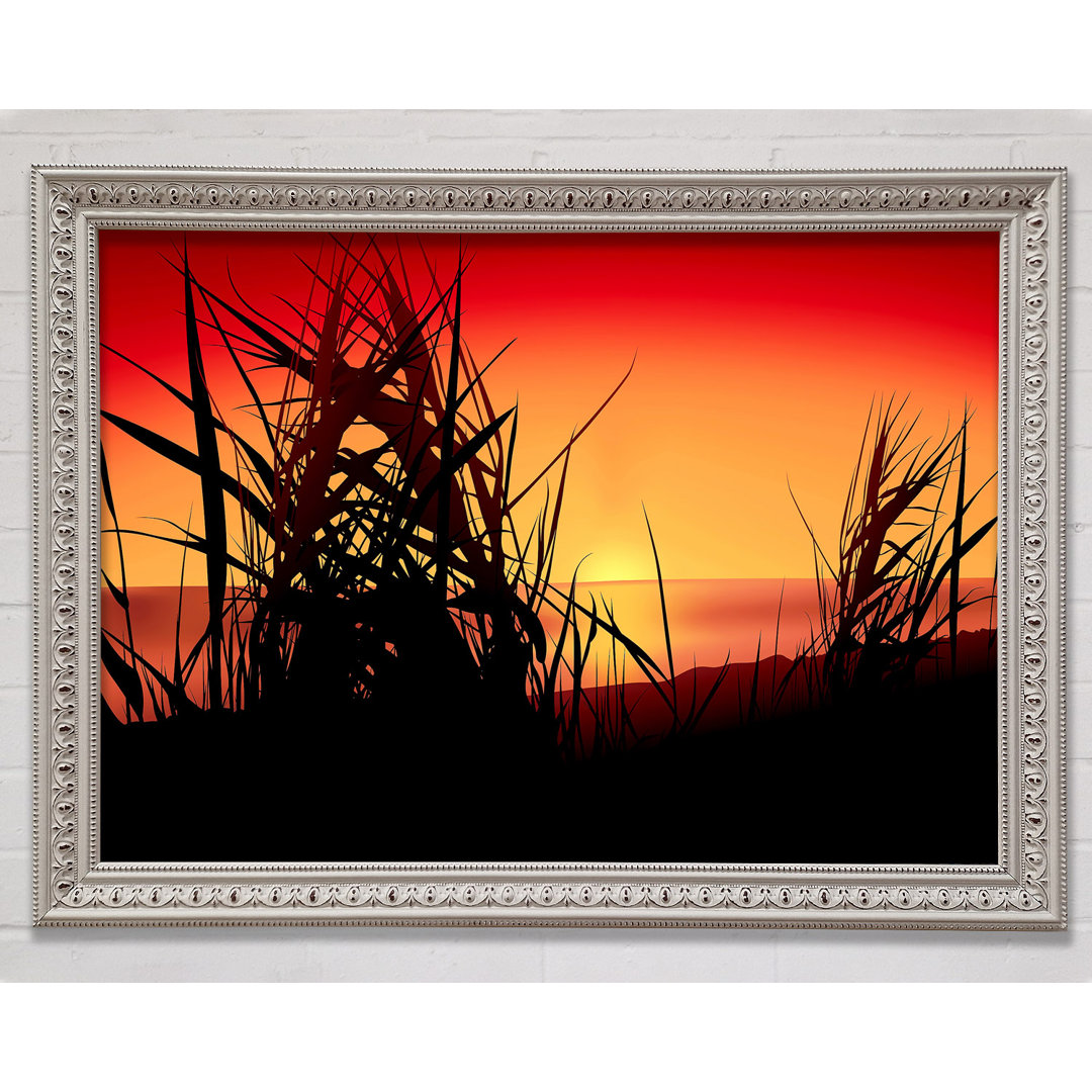 The Sunset Reeds - Einzelner Bilderrahmen Kunstdrucke