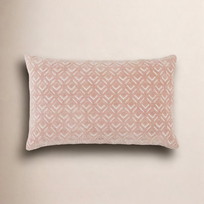 Ryans Embroidered Cotton Throw Pillow
