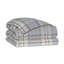 Arthur Comforter-17812845-19793157