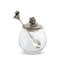 Arche Of Bees Glass Jar