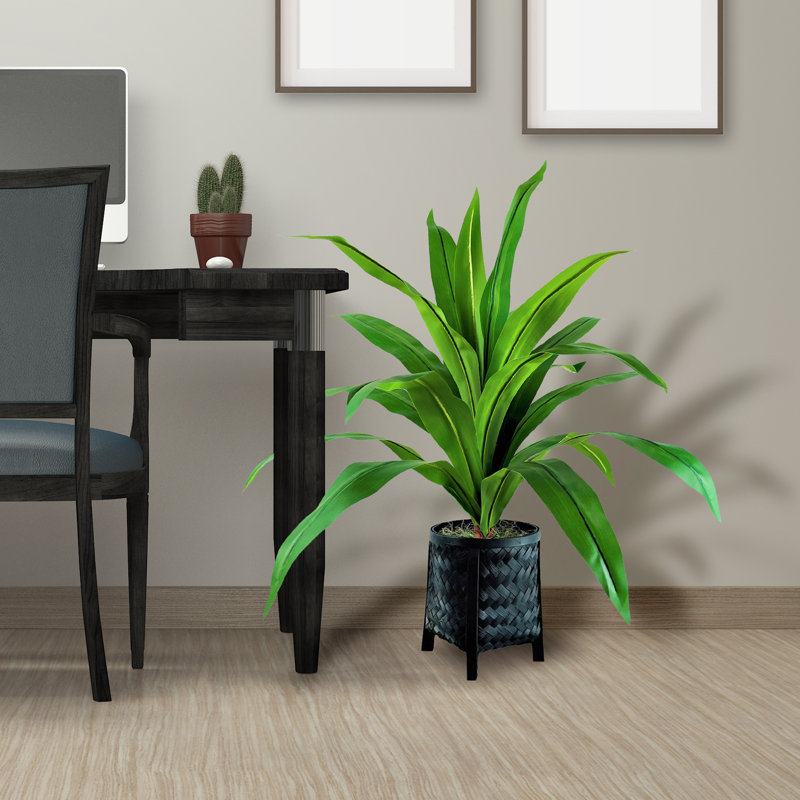 36 po Dracaena artificiel en panier