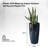 Self-Watering Pot Planter-829076706