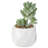 4.3'' Faux Succulent in Ceramic Pot