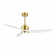 Gianick Ceiling Fan with LED Lights