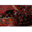 Tapis noir et rouge en laine noué à la main 3 pi 3 po x 5 pi 1 po Anatolian