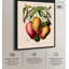 Mangoes by Etienne Denisse Canvas by Art Remedy-112532294-112532295-113386975