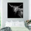 Realistic Black And White Highland Cow Photography Print by Oliver Gal-69341783-69341781