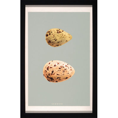 Classic Egg Study 5 Print