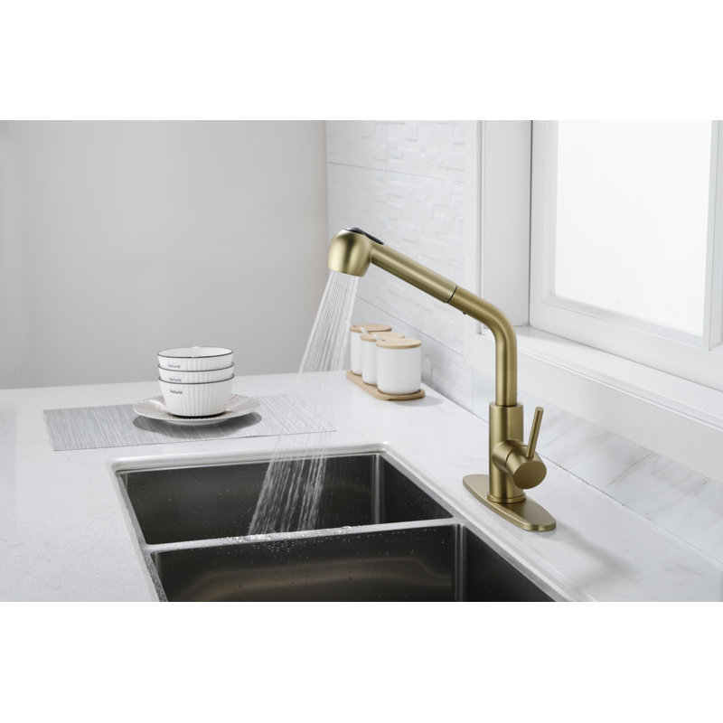 Beslend Pull Out Kitchen Faucet, Brushed Gold