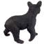 Statue d'ours noir Snooping Cub