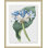 Floral Study 11 Print