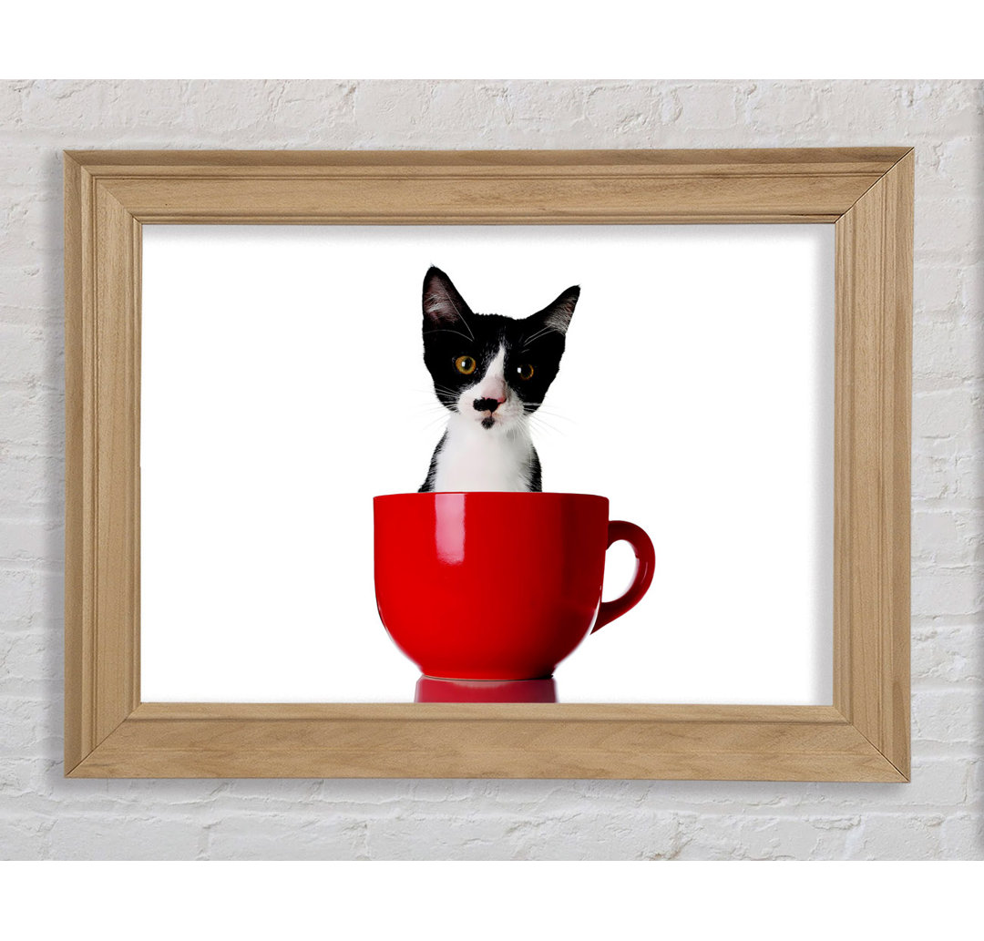 Katze in einer Teetasse - Bilderrahmen Kunstdrucke