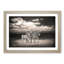 Three Zebras in the Wild - Picture Frame Painting Print-55611610-55611608