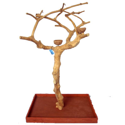 One-of-a-Kind 61" Natural Wood Bird Perch- Natural: Product size and shape may vary