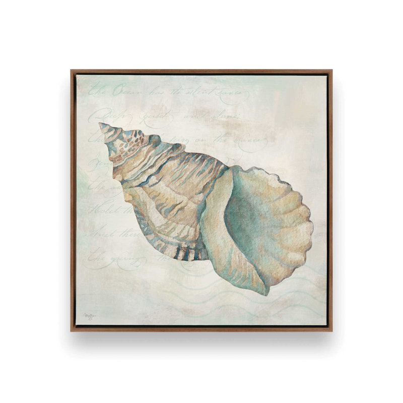 «Seashells II» par Mollie B., reproduction d'art, 12 W x 12 H, Brun, Framed Canvas