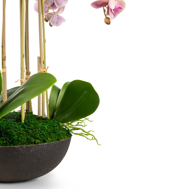 Abella RealTouch Orchid Arrangement, Periwinkle