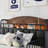 Metal Platform Bed Frame with Light-117550273-117550275