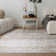 Bezore Abstract Area Rug