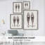 Vintage Snowshoes Framed Print - Solid Wood-774414097