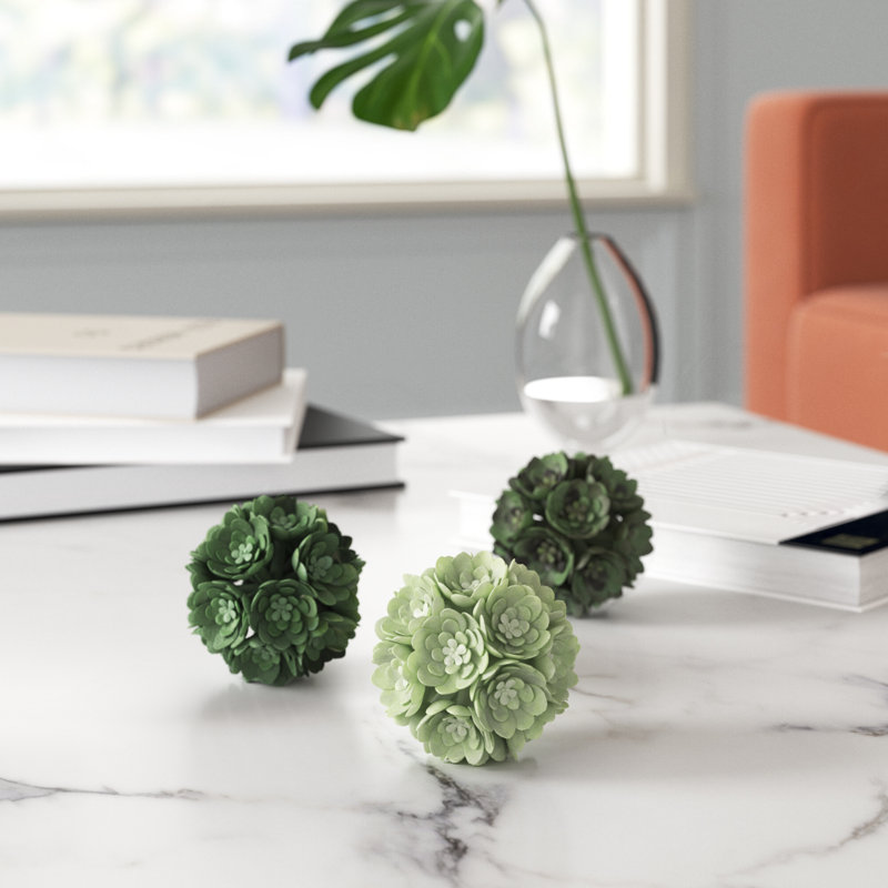 Ensemble de 3 remplisseurs de vase à vase Knorr Echeveria
