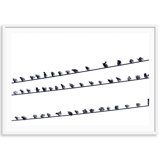 Birds On A Wire Print by Carly Tabak