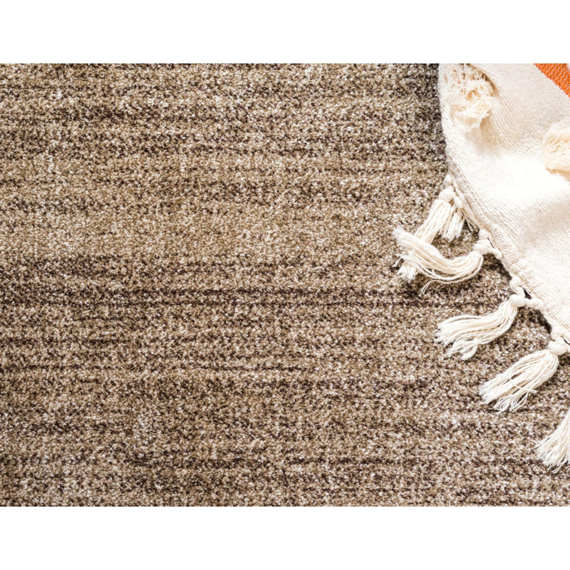 Dejourn Hand Woven Area Rug, Rectangle 66 x 91cm