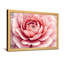 «Plants & Flowers Pink Rose», impression sur toile à motif floral-1557462611-1557462638-1557462639