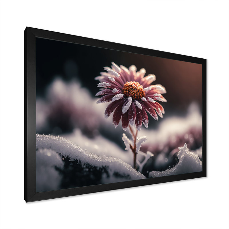 «A Blooming Pink Daisy Flower in Winter I», impression sur toile, H 12 po x l 20 po x P 1 po