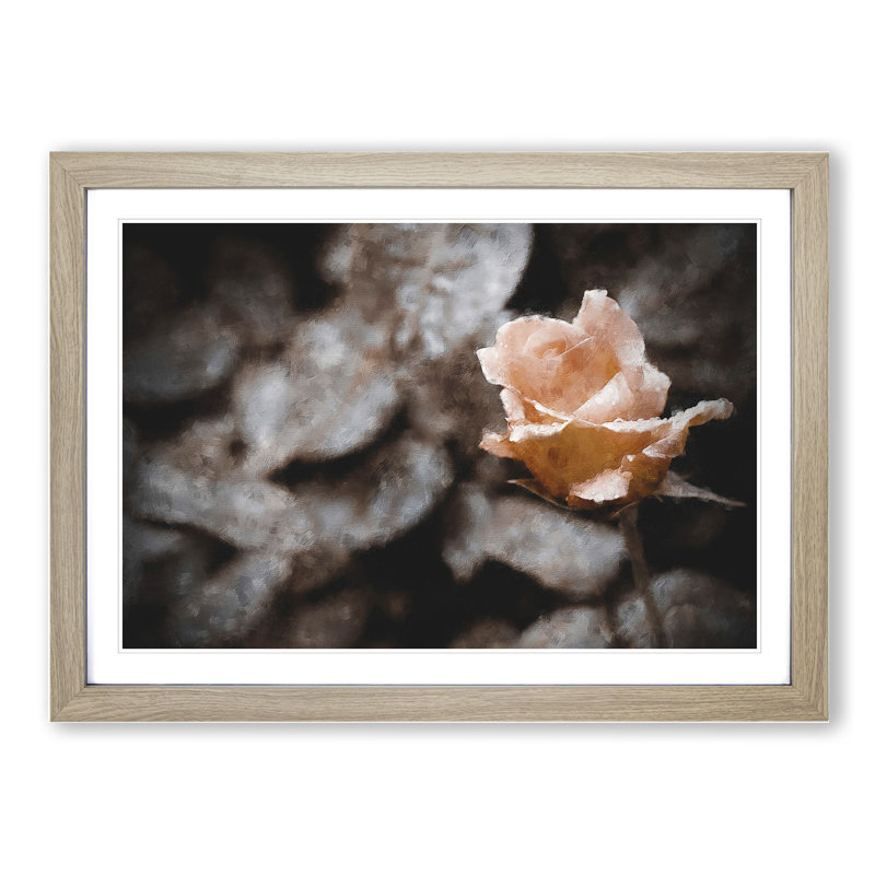 Pink Rose Flower Vol.5 - Framed Print, 27cm H x 36cm W x 2cm D, Oak Framed