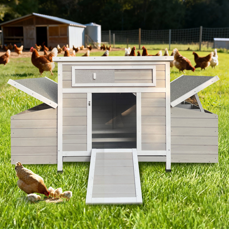 Poulaillers spacieux en bois 57,87 po
