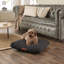 Slumberdown Paws for Slumber Machine Washable Cushioned Sherpa Pet Bed-97793376-99991759
